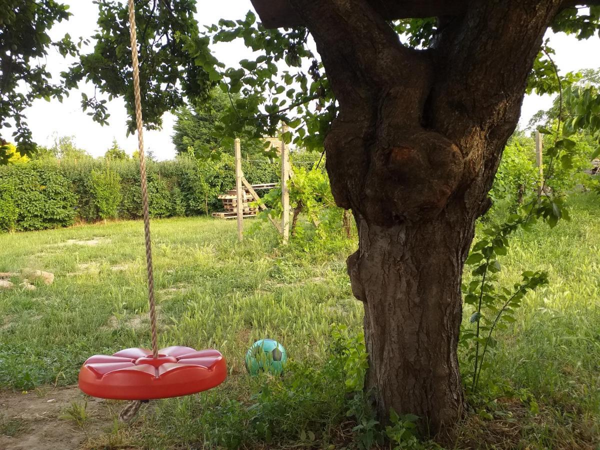 Vlastovka